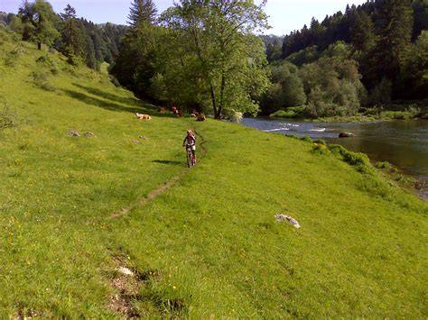Sentier forestier du Jura bernois en trottinette