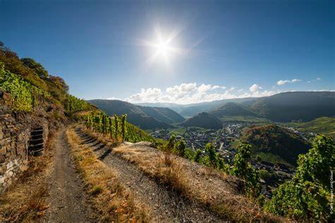 Sentier de randonnée dans les vignobles en terrasses