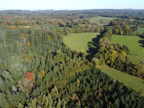 Paysage du plateau forestier de Balpakram