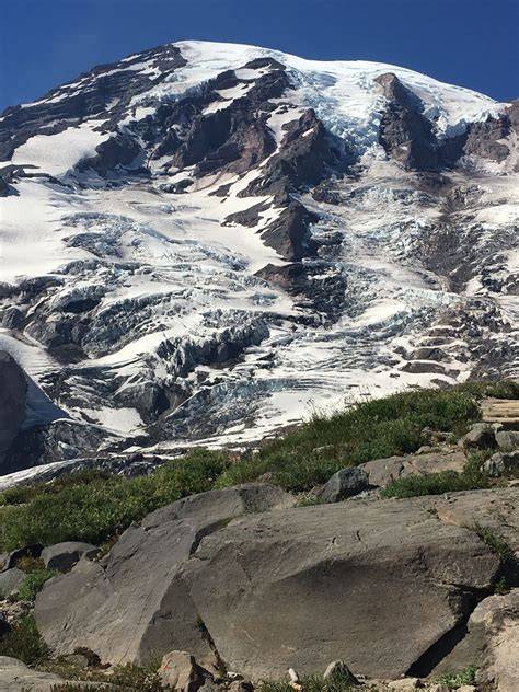 Mont Rainier glaciers et prairies subalpines