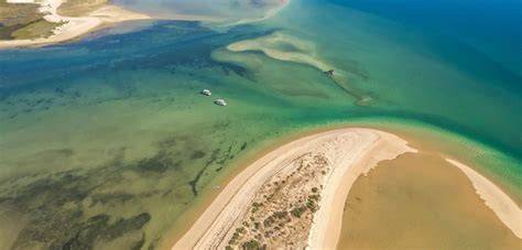iles farol deserta ria formosa