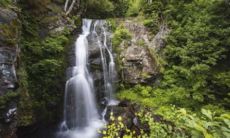 Cascade des Vergnes en forêt