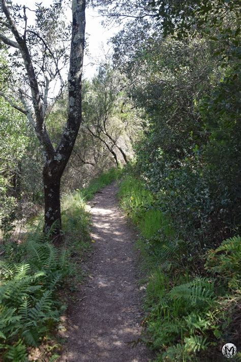 Sentier de pèlerinage à Céret