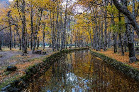 Covão d'Ametade en automne