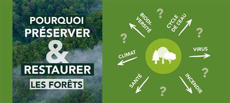 Forêts slovènes et protection de la nature