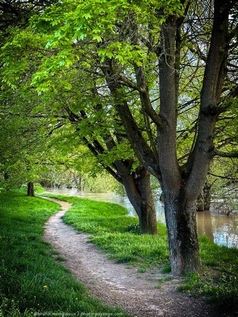 Sentier au bord de la Marque