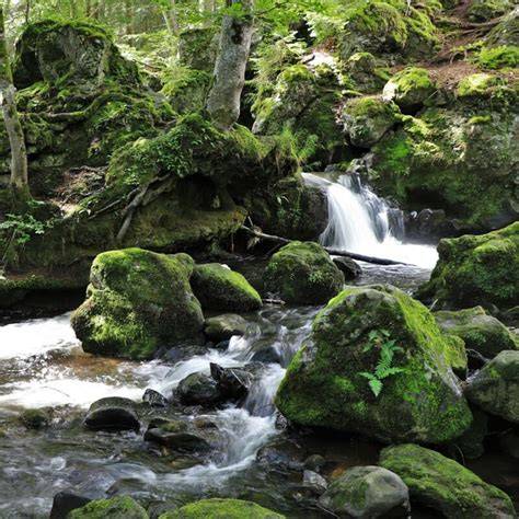 sentier randonnée lac cascades Auvergne