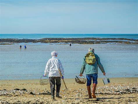 Pêche à pied et plage de Damgan