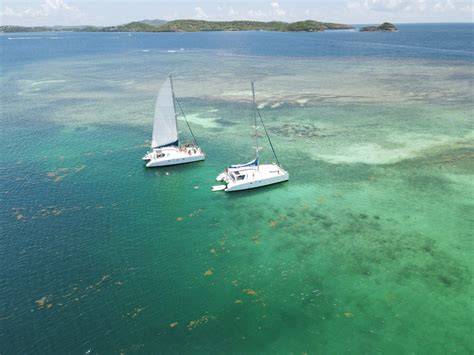 Catamaran dans la mangrove de Trou Cochon