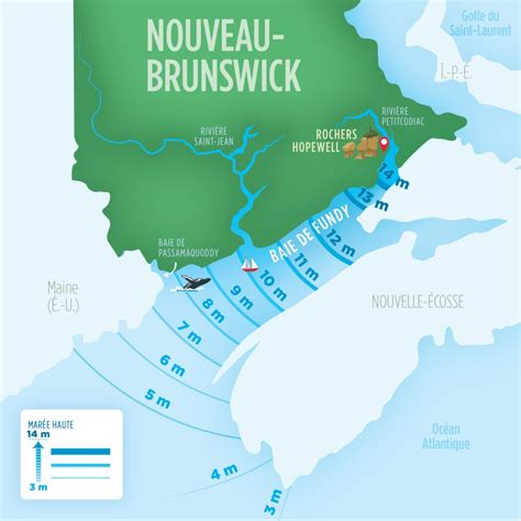 Tableau des marées baie Fundy