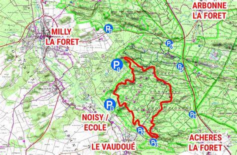 Circuit des 25 bosses en forêt de Fontainebleau
