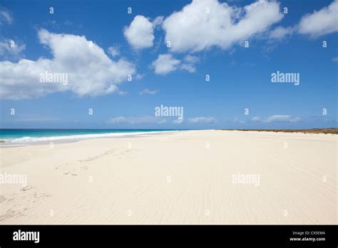 Plage de Santa Monica à Boa Vista