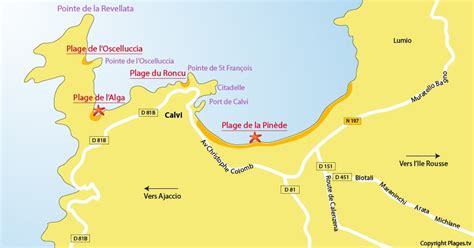 Carte de Calvi avec plage et hôtels