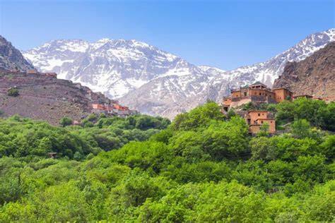 végétation du Haut-Atlas marocain