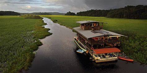 Marais de Kaw pirogue caïman Guyane
