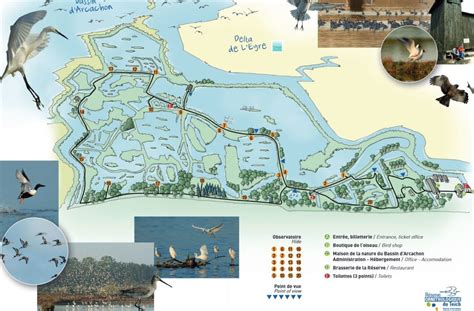 réserve ornithologique du Teich