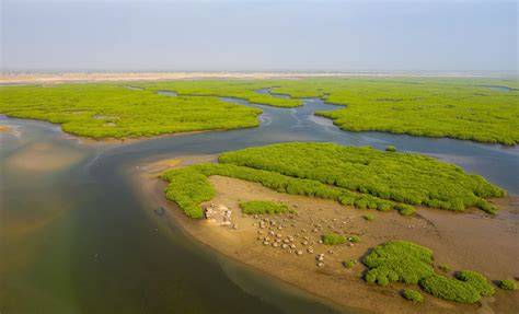 Delta du Saloum lodge sur pilotis