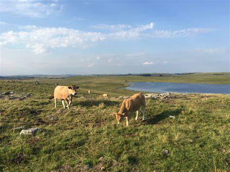 Paysage du plateau de l’Aubrac et du Cantal