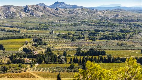 Paysages provençaux des Alpilles oliviers vignobles