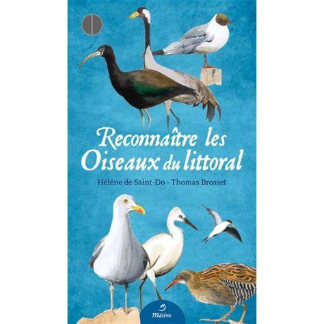 Phoques et oiseaux du littoral calaisien