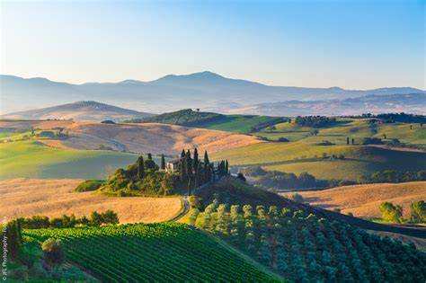 Collines et vignobles de Toscane en été