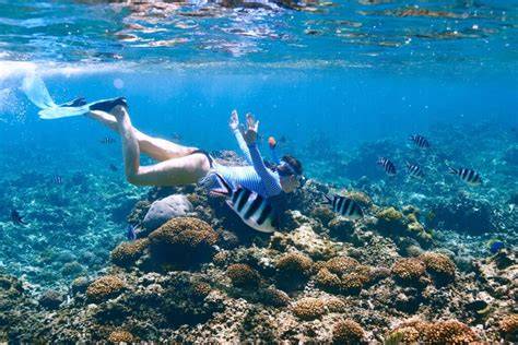 Snorkeling autour des îles désertes