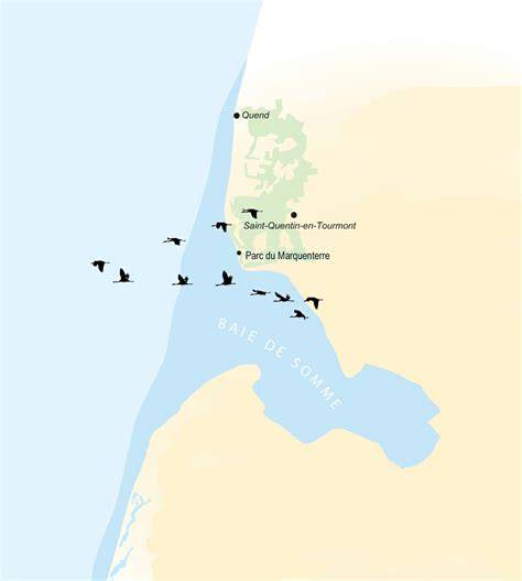 Baie de Somme et réserve du Marquenterre