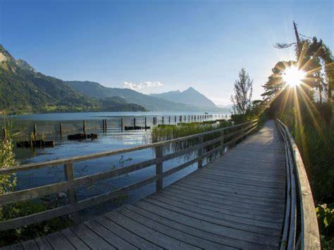 Promenade autour du lac près de l’hôtel