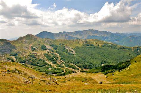 Forêt des Apennins entre Toscane et Romagne