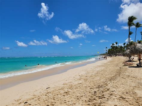 Plage Arena Gorda Punta Cana palmiers