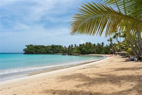 Playa Bonita Las Terrenas cocotiers