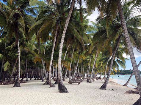 Plage de sable blanc sur l’île Saona