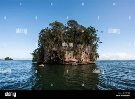 Oiseaux et mangroves de Los Haitises