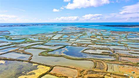 Marais salants de Guérande