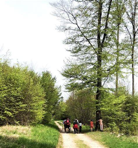 Randonnée familiale autour des Estables