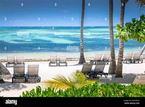Plage tropicale de Punta Cana