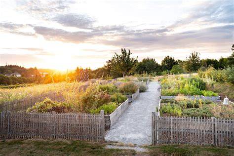 Restaurant bio Les Jardins Sauvages