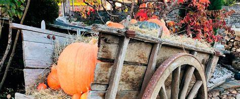 Ferme du Cayla décorée pour Halloween