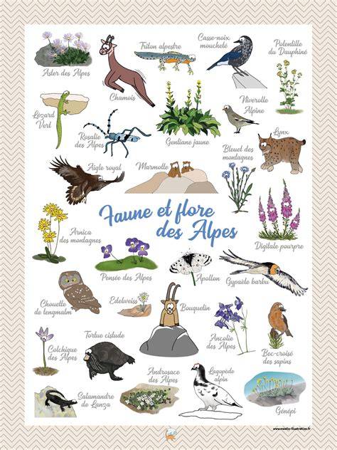 Faune et flore des montagnes des Aravis