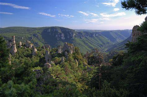 Paysage des Grands Causses et terrain constructible