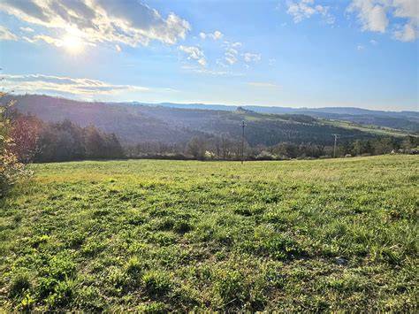 Terrain boisé avec vue sur les collines