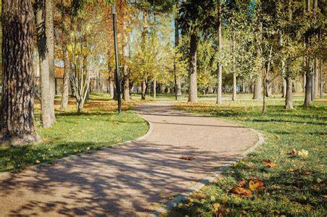 Promeneurs sur sentier de parc naturel