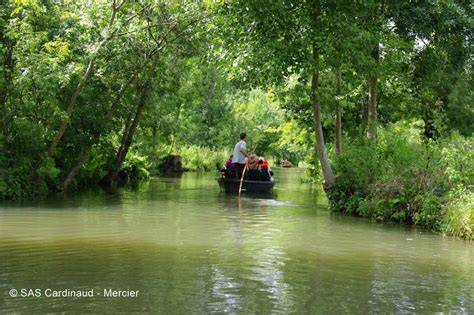 Balade aquatique dans le Marais poitevin