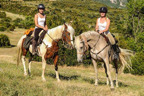 Cheval équipé pour randonnée équestre