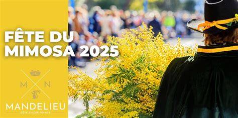 Chars de la Fête du Mimosa à Mandelieu