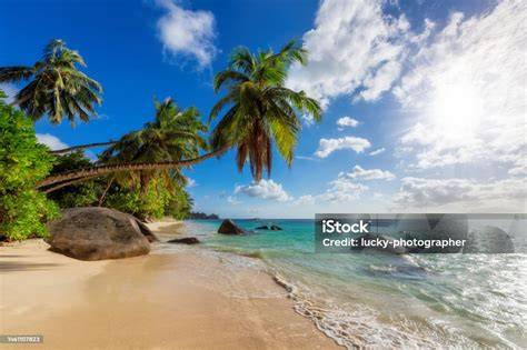 Plage tropicale et hôtels des Seychelles