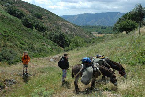 Randonnée avec âne et bivouac familial