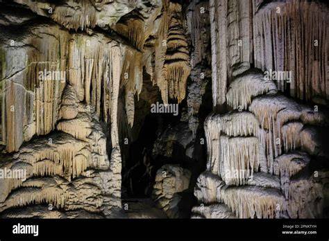 Faune souterraine des grottes karstiques