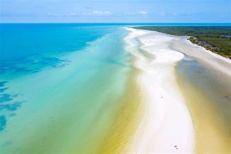 Punta Mosquito banc de sable Holbox