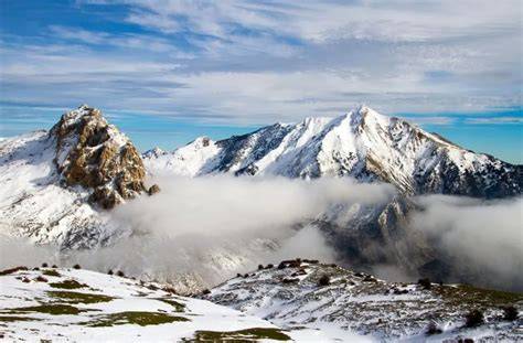 Montagnes et forêts du massif du Djurdjura